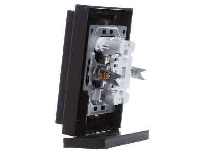 View on the right Busch Jaeger 202 EUJB-885 Socket outlet (receptacle) 
