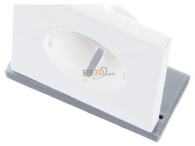 View up front Jung LS 1520 KIPL WWM Cover plate for Wall socket cream white 
