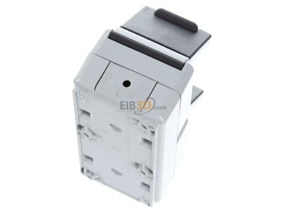 Ansicht oben hinten Gira 478030 Steckdose 2-fach senkr. Grau AP 