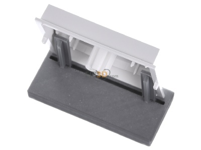 Ansicht oben hinten Gira 029666 Wippe Wechselsch. rws (WG UP) 