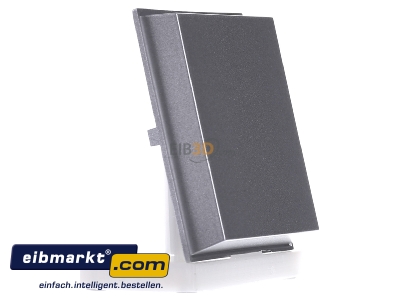 Ansicht links Gira 029665 Wippe Wechselsch. alu 