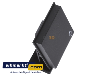 Ansicht oben links Gira 028567 Wippe Licht anth TX44 