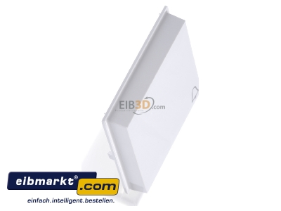 Ansicht oben links Gira 028666 Wippe Klingel rws TX44 