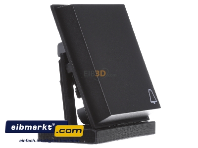 Ansicht links Gira 028667 Wippe Klingel anth TX44 