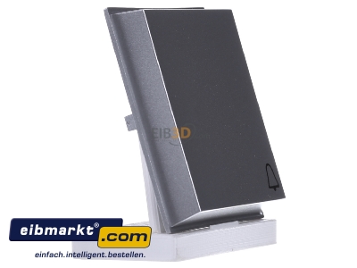 Ansicht links Gira 028665 Wippe Klingel alu TX44 
