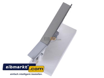 Ansicht oben rechts Gira 028665 Wippe Klingel alu TX44 