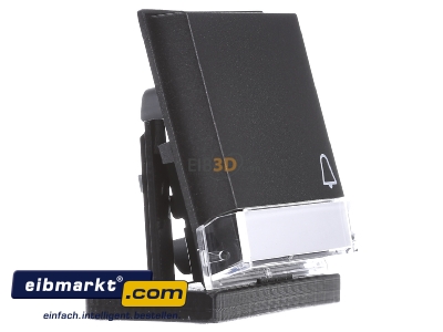 Ansicht links Gira 067367 Wippe Klingel anth m.Schriftf., TX44 