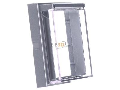 View on the left Gira 040965 Adapter cover frame 
