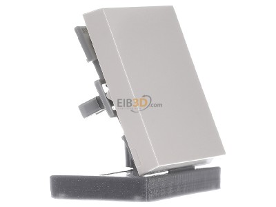 Ansicht links Gira 029601 Wippe Wechselsch. cws-gl System55 