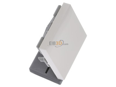 Ansicht oben links Gira 029601 Wippe Wechselsch. cws-gl System55 