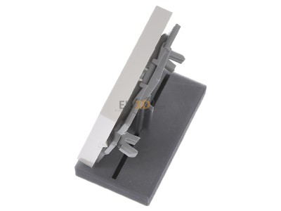 Ansicht oben rechts Gira 029601 Wippe Wechselsch. cws-gl System55 