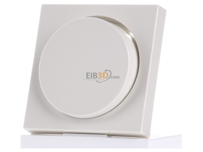 Front view Gira 065001 Cover plate for dimmer cream white 
