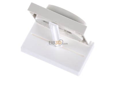 Top rear view Gira 065001 Cover plate for dimmer cream white 
