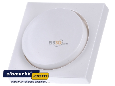 Frontansicht Gira 065003 Abdeckung rws-gl f.Drehdimmer 