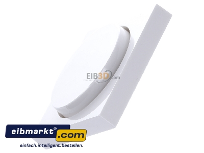 Ansicht oben rechts Gira 065003 Abdeckung rws-gl f.Drehdimmer 
