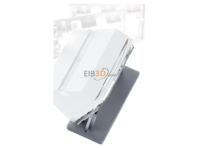 Ansicht oben rechts Gira 087027 Abdeckhaube Datentech. rws System55 