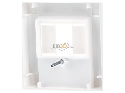 Ansicht hinten Gira 027627 Zentralplatte TAE rws System55 
