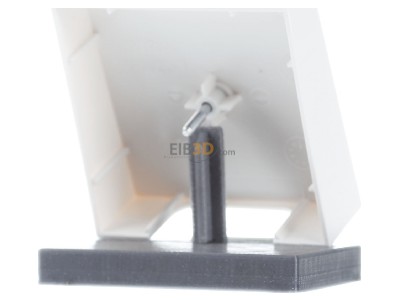 Ansicht hinten Gira 027427 Zentralpl.Schnurabl. rws System55 