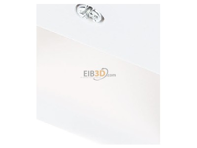 Ansicht oben vorne Gira 027027 Zentralplatte UAE/IAE rws System55 