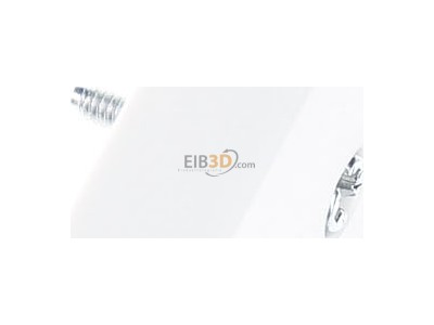 Ansicht oben links Gira 027027 Zentralplatte UAE/IAE rws System55 