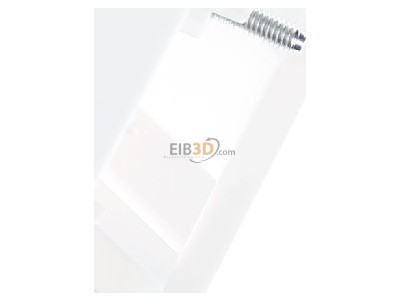 Ansicht oben rechts Gira 027027 Zentralplatte UAE/IAE rws System55 