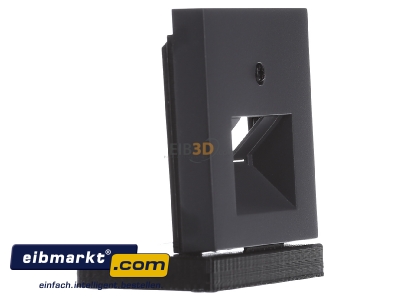 Ansicht links Gira 027028 Zentralplatte UAE/IAE anth System55 