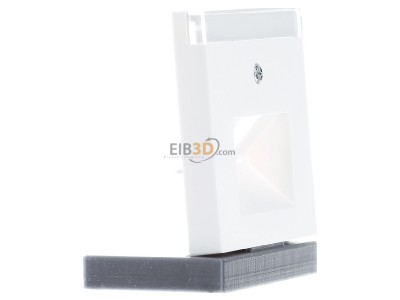 Ansicht links Gira 028427 Zentralplatte UAE/IAE rws m.Schriftf.,System55 
