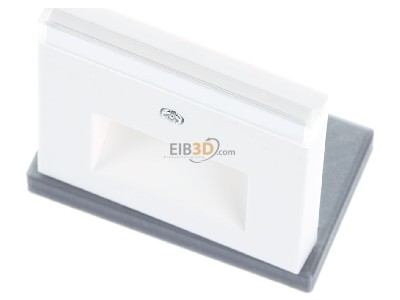Ansicht oben vorne Gira 028427 Zentralplatte UAE/IAE rws m.Schriftf.,System55 