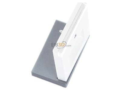 Ansicht oben links Gira 028427 Zentralplatte UAE/IAE rws m.Schriftf.,System55 