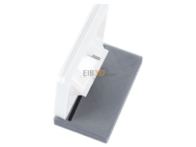 Ansicht oben rechts Gira 028427 Zentralplatte UAE/IAE rws m.Schriftf.,System55 