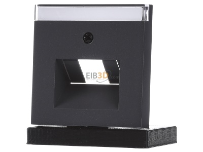 Frontansicht Gira 028428 Zentralplatte UAE/IAE anth m.Schriftf.,System55 