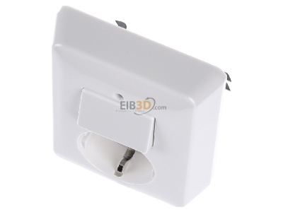 Ansicht oben vorne Gira 017603 Schuko-Wechselschalt. rwsg 