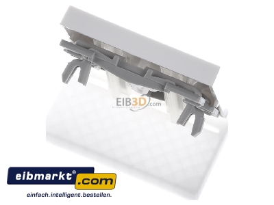 Ansicht oben hinten Gira 020903 Wippe Steckdose rws-gl m.Kontrollfenster 