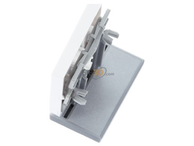 Ansicht oben rechts Gira 021703 Wippe Klingel rws-gl 