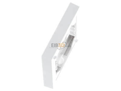 Ansicht oben links Gira 021903 AP-Rahmen 1f.rws-gl flach 