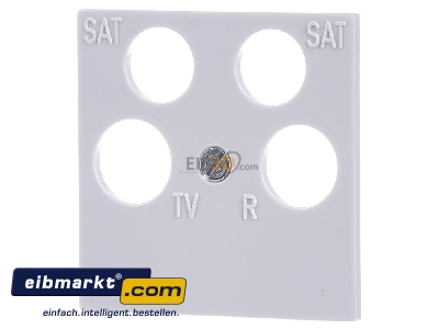 Frontansicht Gira 025903 Zentraleinsatz rws-gl 50x50 Ankaro 