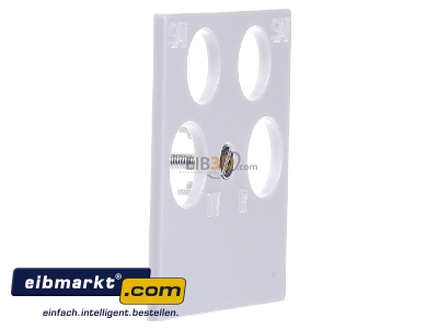 Ansicht links Gira 025903 Zentraleinsatz rws-gl 50x50 Ankaro 