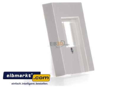 Ansicht links Gira 027601 Zentraleinsatz cws-gl f.TAE-Anschludose 