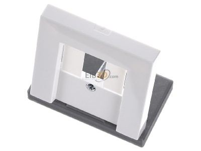 Ansicht oben vorne Gira 027603 Zentralabdeckung rws-gl f.TAE-Anschludose 