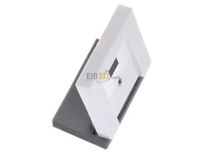 Ansicht oben links Gira 027603 Zentralabdeckung rws-gl f.TAE-Anschludose 