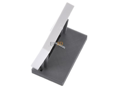 Ansicht oben rechts Gira 027603 Zentralabdeckung rws-gl f.TAE-Anschludose 