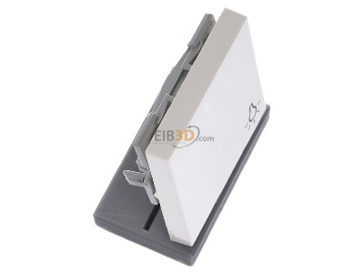 Ansicht oben links Gira 028501 Wippe Licht cws-gl fr Taster 
