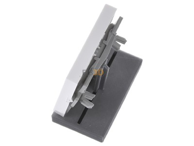 Ansicht oben rechts Gira 028503 Wippe Licht rws-gl fr Taster 