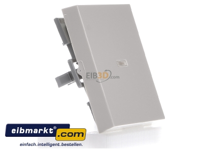 Ansicht links Gira 029001 Wippe cws-gl mit Kontroll-Fenster 