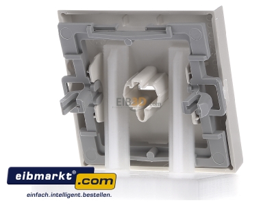 Ansicht hinten Gira 029001 Wippe cws-gl mit Kontroll-Fenster 