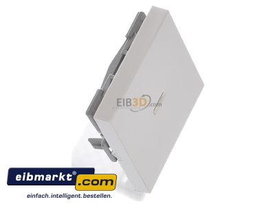 Ansicht oben links Gira 029001 Wippe cws-gl mit Kontroll-Fenster 