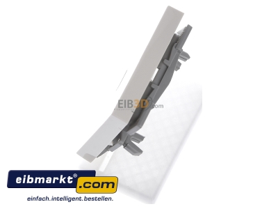 Ansicht oben rechts Gira 029001 Wippe cws-gl mit Kontroll-Fenster 