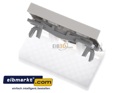 Ansicht oben hinten Gira 029001 Wippe cws-gl mit Kontroll-Fenster 