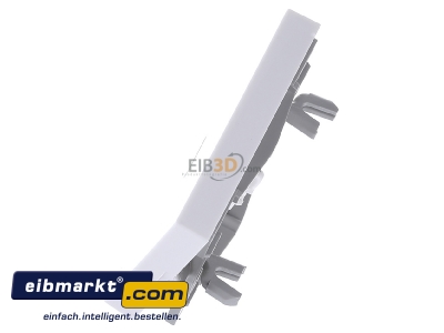 Ansicht oben rechts Gira 029003 Wippe rws-gl mit Kontroll-Fenster 