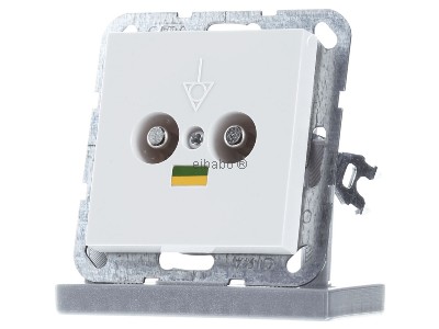 Front view Gira 040503 Grounding receptacle 

